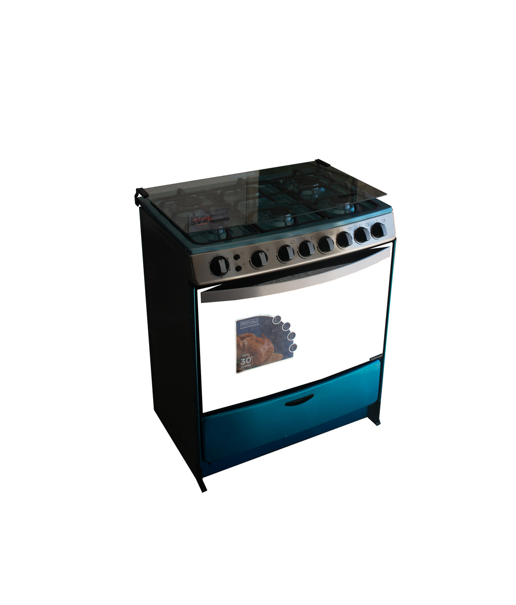 ESTUFA A GAS 30’’ 6Q ROSTIZADOR (REH76SSG)